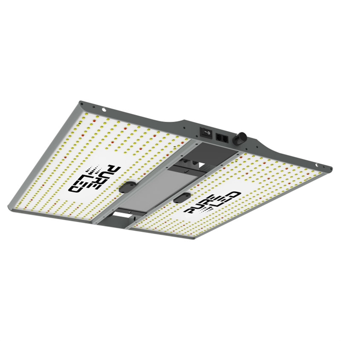 Pure LED Q240 V2 (240 watt) Grolys