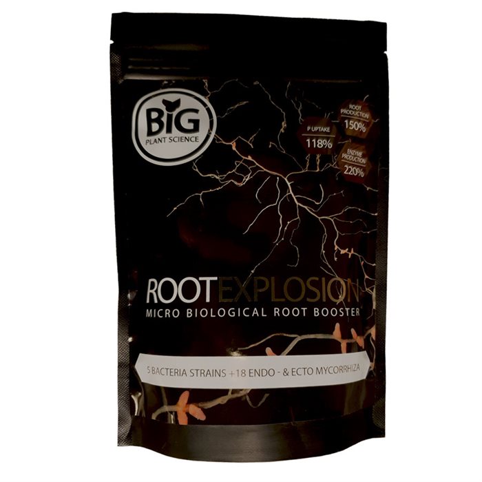 Root Explosion Big Plant Science